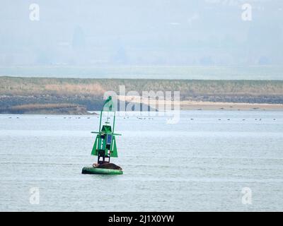 Sittingbourne, Kent, Royaume-Uni. 28th mars 2022. Météo au Royaume-Uni: Un sceau a été vu pour profiter du soleil sur une bouée de navigation sur la voie navigable de Swale dans des conditions ensoleillées mais brumeuses ce matin. Le sceau perché sur la bouée de navigation à tribord 'Elmley' marquant un canal d'eau profonde pour les bateaux. Photo de Elmley Ferry, Sittingbourne. Crédit : James Bell/Alay Live News Banque D'Images