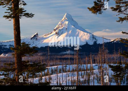 Mount Washington depuis Mt. Washington Viewpoint, forêt nationale Deschutes, route panoramique nationale de Santiam Pass-McKenzie Pass, Oregon Banque D'Images