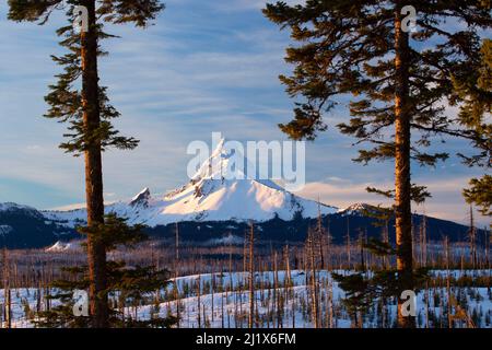 Mount Washington depuis Mt. Washington Viewpoint, forêt nationale Deschutes, route panoramique nationale de Santiam Pass-McKenzie Pass, Oregon Banque D'Images