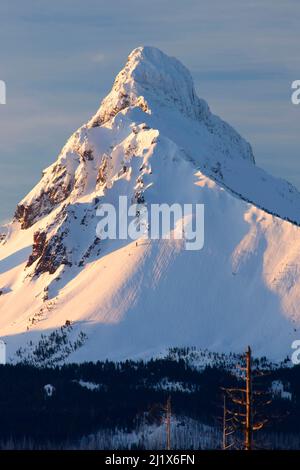 Mount Washington depuis Mt. Washington Viewpoint, forêt nationale Deschutes, route panoramique nationale de Santiam Pass-McKenzie Pass, Oregon Banque D'Images