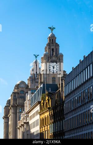 Liver Birds, Bella and Bertie, au sommet des deux tours de l'horloge sur le Royal Liver Building, l'un des trois Graces de Liverpool Banque D'Images