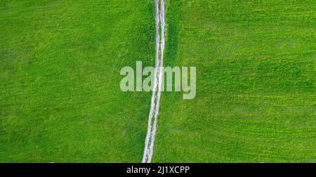 Route non pavée avec traces de pneus sur le champ vert, vue directement du dessus Banque D'Images