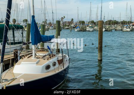 Voilier lié au quai dans la marina avec le canard nageant dans l'eau derrière le bateau. Banque D'Images