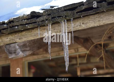 Des formations glacées descendent des planches du toit de la cabane Banque D'Images