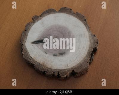 Une Coaster de noyer noir à bords vivants Banque D'Images