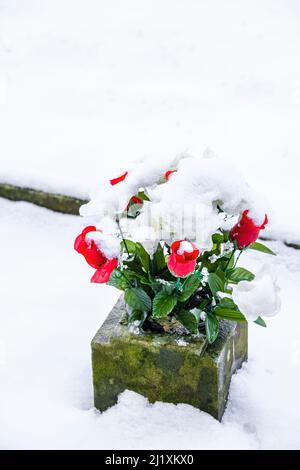 Fleurs en plastique recouvertes de neige sur une tombe dans un cimetière. Banque D'Images