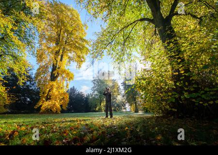 Westonbirt, Royaume-Uni. L'arboretum national de Westonbirt, où les arbres se sont transformés à des couleurs automnales étonnantes et où les membres du public aiment marcher et prendre des photos sous le soleil lumineux du matin. Banque D'Images