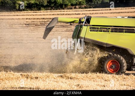 Un harvetser la moissonneuse-batteuse en fin d'après-midi début de soirée la récolte la récolte de la lumière dans un endroit sec et poussiéreux, champ de l'agriculteur dans le Cotswoldds, UK. Banque D'Images