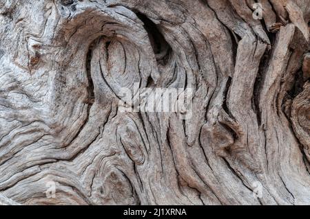 Fond de bois gris rustique avec effet structurel. Banque D'Images