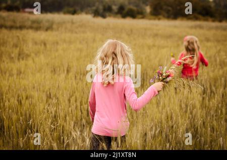filles avec de longs cheveux blonds vue arrière marchant dans le champ de blé de printemps Banque D'Images