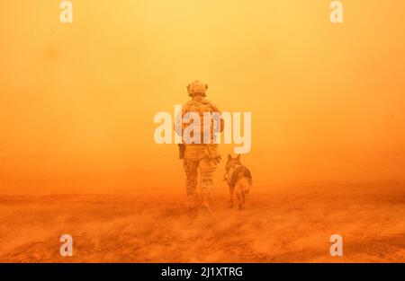 Soldat militaire avec un chien entre la tempête et la poussière dans le désert Banque D'Images