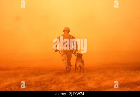 Soldat militaire avec un chien entre la tempête et la poussière dans le désert Banque D'Images