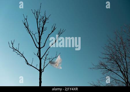 La pollution est visible - sachet en plastique sur l'arbre Banque D'Images