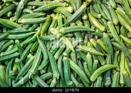 Un bouquet de légumes frais bio récoltés de doigt de dame verte ou de légumes d'okra vue rapprochée du dessus Banque D'Images
