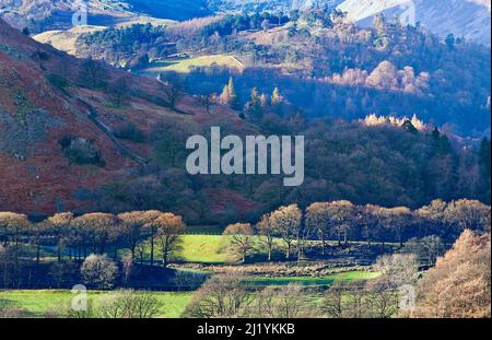 Le plancher de la vallée de Patterdale, en regardant vers le bas de angle Tarn Fell, janvier, région de Patterdale, parc national du district de Lake, district de North East Lake Cumbria en Banque D'Images