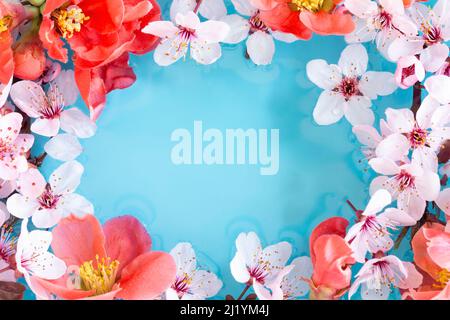 Composition de cadre à motif floral printanier avec espace pour les copies Banque D'Images