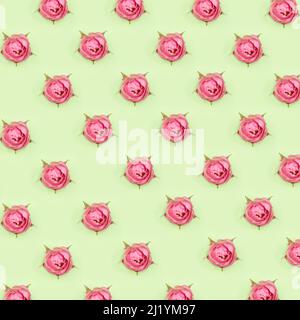 Motif roses roses sur fond vert Banque D'Images