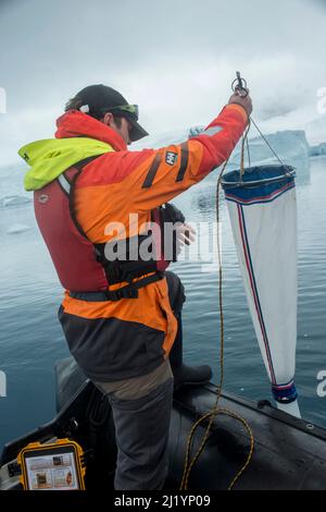 Les clients du bateau de croisière antarctique participent au projet des scientifiques citoyens, en recueillant des échantillons de plancton, la température de l'océan et la clarté de l'eau au large de Danco Banque D'Images
