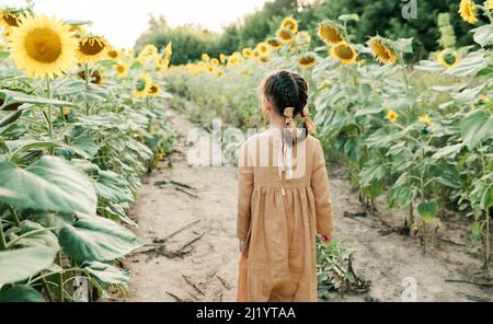 Ambiance ensoleillée en été. Enfant parmi les tournesols Banque D'Images