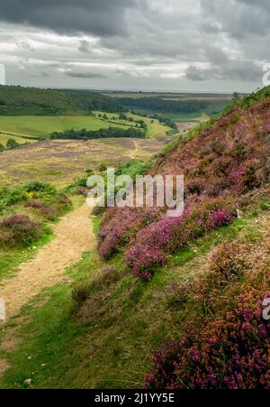 Chemin vers le trou de Horcum, North Yorkshire Moors Banque D'Images