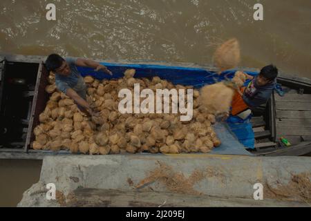 Les hommes sont debout sur un bateau attaché à la plate-forme d'un port de rivière sur la rivière Batanghari, comme ils déchargent les fruits secs de noix de coco à Muara Sabak, East Tanjung Jabung, Jambi, Indonésie. Les anciennes notes arabes, la plupart du temps écrites par des marchands, ont mentionné l'existence d'un pays nommé Zabaj/Zabag pour faire référence à la région qui est maintenant la côte est de Sumatra aujourd'hui, qui était un domaine du maharaja (roi des rois). 'Car bien qu'il n'y ait pas d'inscription avec le nom, il y a un écho possible à Muara Sabak (le port de Sabak), situé dans l'estuaire de la rivière Batang Hari menant à Jambi, Banque D'Images