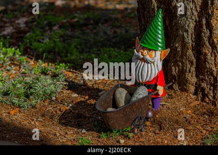 Gnome de pelouse en métal tenant pile de rochers dans la brouette debout sur l'écorce de beauté et les débris. Banque D'Images