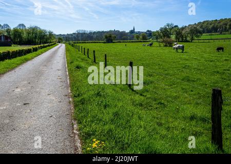 Paysage typique de la campagne belge lors d'une belle journée de printemps. Municipalité de Florenville, Wallonie, province de Luxembourg, Belgique Banque D'Images