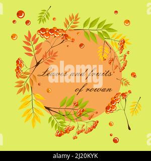 Rouge baies rowan bouquet de feuilles d'automne orange, vecteur réaliste illustration clipart isolé ensemble avec cadre de cercle Illustration de Vecteur