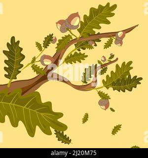 Branches de chêne avec feuilles vertes et acorns clipart ensemble Illustration de Vecteur