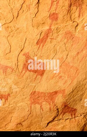 Peintures anciennes de grottes dans le désert du Sahara montrant le bétail, réserve naturelle et culturelle Ennedi, site du patrimoine mondial de l'UNESCO, Tchad. Septembre 2019. Banque D'Images