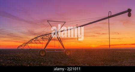 Déplacement latéral système d'irrigation agricole sur champ labouré au coucher du soleil, équipement agricole pour l'arrosage des terres agricoles cultivées, image panoramique Banque D'Images