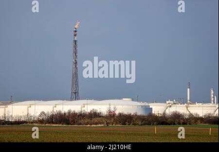 Leuna, Allemagne. 28th mars 2022. Derrière une exploitation de réservoirs, la torchère de la raffinerie Total s'élève dans l'air. Dans les entreprises du site chimique de Leuna, il n'est actuellement pas prévu d'arrêter la production en raison de la guerre d'Ukraine. Toutefois, le Groupe Total prévoit de fonctionner sans le russe à l'avenir. La raffinerie de Leuna a jusqu'à présent traité douze millions de tonnes de pétrole brut de Russie par an pour produire des carburants comme l'essence et le diesel ainsi que des produits chimiques de base comme le méthanol. Credit: Jan Woitas/dpa-Zentralbild/dpa/Alay Live News Banque D'Images