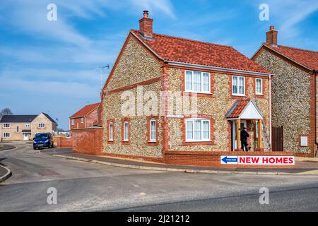 Nouvelles maisons à vendre dans le village de Gayton, dans le Norfolk. Banque D'Images