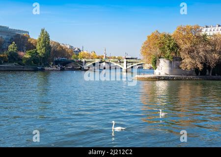 Paris, le pont de Tournelle, l'ile Saint-Louis, avec des cygnes sur la Seine Banque D'Images