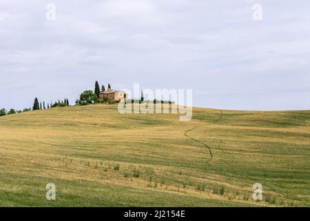 Un chemin étroit et sinueux à travers les collines herbeuses de Toscane mène à une ancienne ferme traditionnelle se tenant sur une colline. Val d’Orcia, Italie Banque D'Images