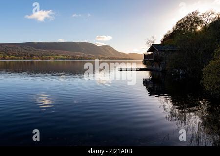 duc de portland sur ullswater en automne Banque D'Images