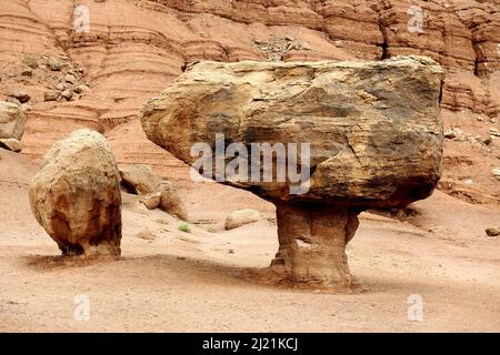 rock formation Balanced Rocks, États-Unis, Arizona, Marble Canyon, Lees Ferry Banque D'Images