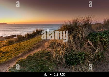 Coucher de soleil sur l'herbe de Marram Ammophila croissant sur le sentier côtier surplombant la baie de Fistral à Newquay en Cornouailles. Banque D'Images