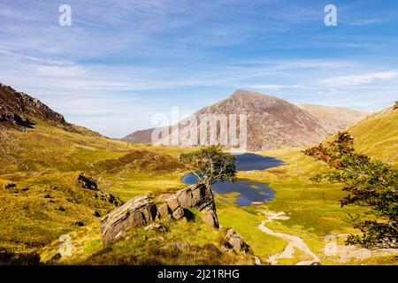 Llyn Idwal dans la réserve naturelle nationale du MCG Idwal avec la montagne de Pen yr Ole Wen au-delà dans le parc national de Snowdonia. Ogwen, Gwynedd, pays de Galles du Nord, Royaume-Uni Banque D'Images