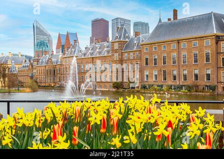 Hague, pays-Bas gratte-ciel moderne, fleurs de tulipe, Parlement de Binnenhof et fontaine du lac Hofvijver Banque D'Images