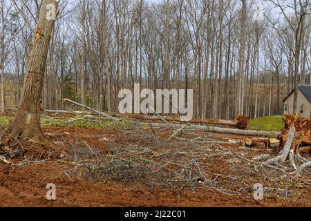 Les bûcherons défrichant la forêt avec des terrains de préparation pour de nouvelles maisons de construction résidentielle Banque D'Images