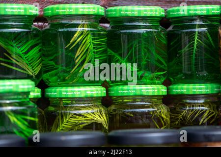 Confiture inhabituelle de jeunes branches de pin dans des pots en verre. Utile pour la santé, dessert végétarien sucré. Banque D'Images