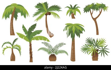 Divers dessins animés palmiers jeu d'icônes plates. Banane de la jungle, noix de coco ou ananas avec feuilles vertes vecteur collection d'illustration. Plantes de plage et Illustration de Vecteur