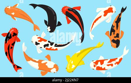 Vue de dessus de koi carpe poissons plat icône ensemble. Collection d'illustrations vectorielles chinoises ou japonaises traditionnelles de poissons rouges. Concept zen, eau et jardin Illustration de Vecteur
