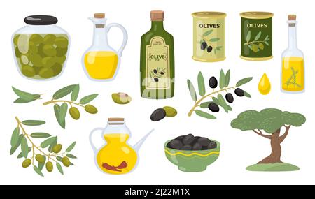 Jeu d'illustrations à vecteur olive. Branches d'olivier noires et vertes, bouteille en verre et carafe d'huile, bol, pot et boîtes. Illustration vectorielle pour une f. Saine Illustration de Vecteur