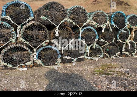 dh Fishermans Creels DUNBEATH SUTHERLAND Fisherman Lobster pêche pots de crabe sur le quai du port creel isolé écosse Banque D'Images