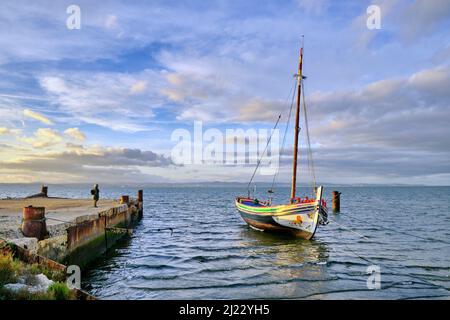 Le bateau traditionnel 'Bote Leao' dans le Tage. Alcochete, Portugal Banque D'Images