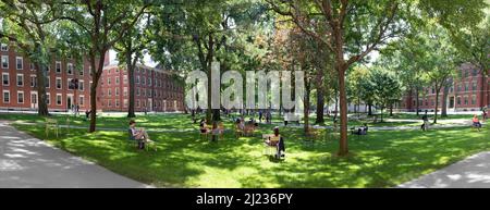 Cambridge, USA - 13 septembre 2017 : les étudiants et les touristes se reposent dans des chaises de jardin à Harvard Yard, le vieux coeur ouvert du campus de l'université de Harvard, en Californie Banque D'Images