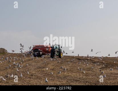 Ancien chef de Kinsale, Cork, Irlande. 29th mars 2022. L'agriculteur Gavin Moloney répandait du lisier sur sa ferme à l'Old Head of Kinsale, Co. Cork, Irlande. - Crédit; David Creedon / Alamy Live News Banque D'Images