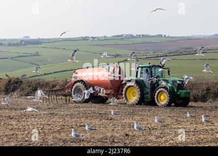 Ancien chef de Kinsale, Cork, Irlande. 29th mars 2022. L'agriculteur Gavin Moloney répandait du lisier sur sa ferme à l'Old Head of Kinsale, Co. Cork, Irlande. - Crédit; David Creedon / Alamy Live News Banque D'Images